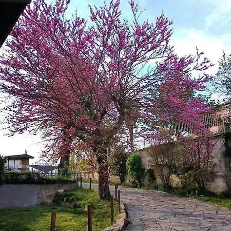 La Casa Di Giuda アパート Vigliano d'Asti