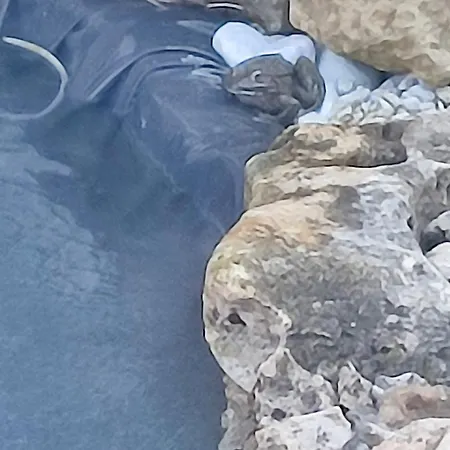 La Casa Di Giuda Apartament