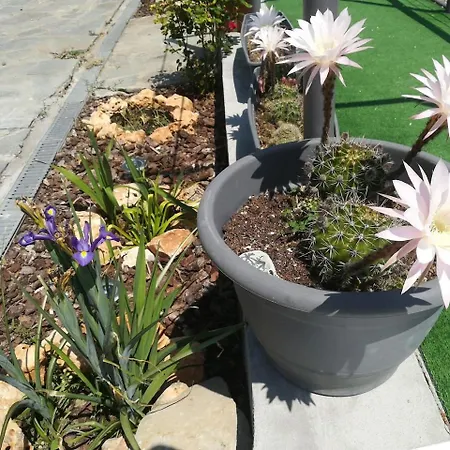 Apartamento La Casa Di Giuda