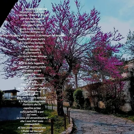 アパート La Casa Di Giuda Vigliano d'Asti