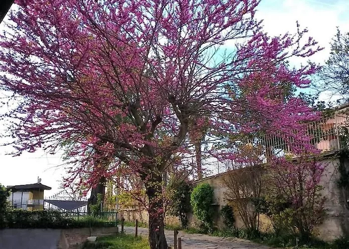 La Casa Di Giuda Appartement Vigliano d'Asti